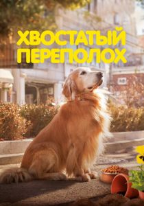 Хвостатый переполох