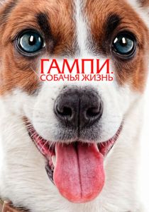 Гампи. Собачья жизнь